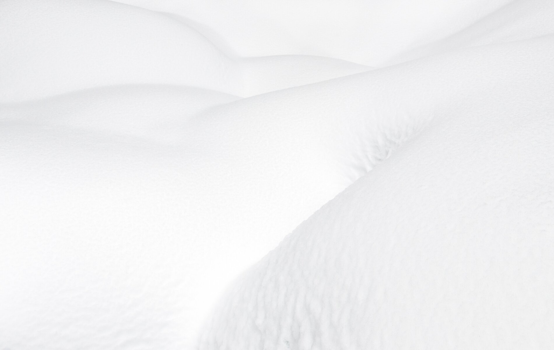 Ad Rocket Website Builder