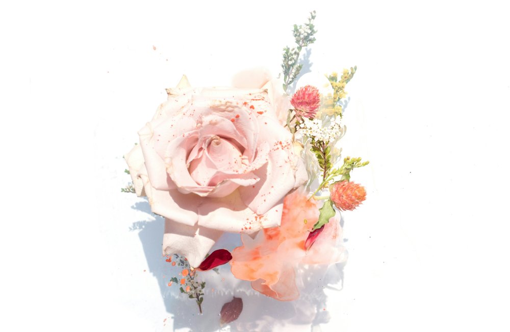 Ad Rocket Website Builder