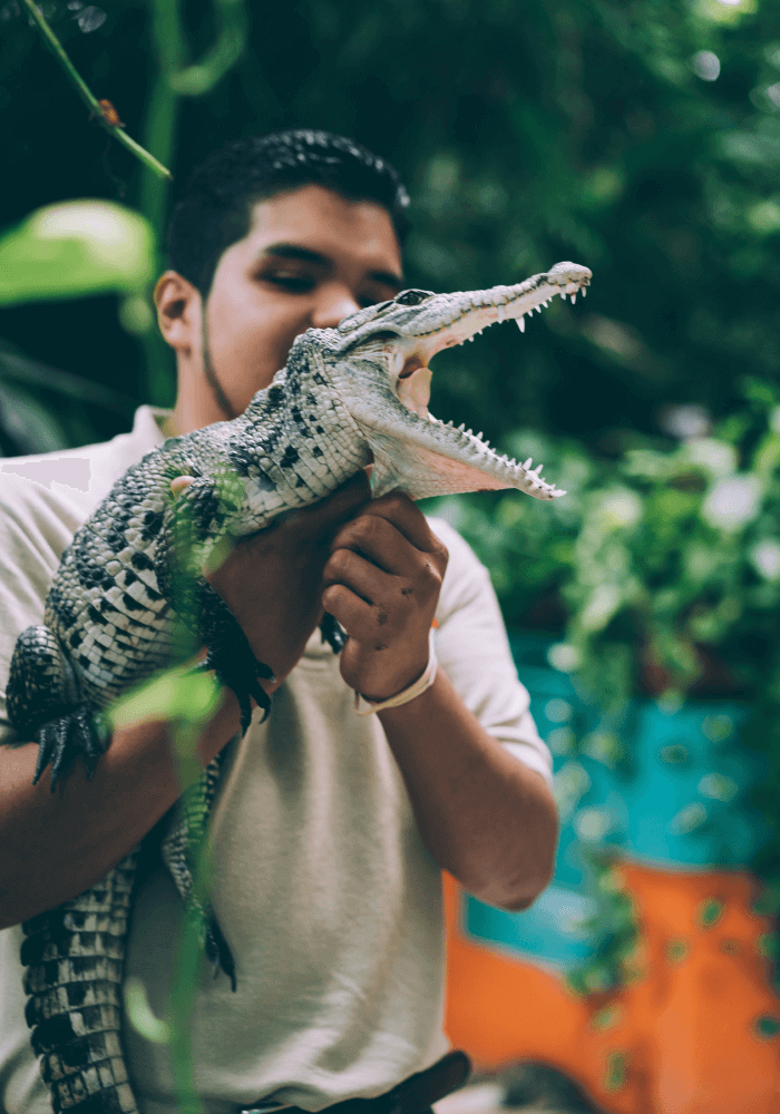 Ad Rocket Website Builder