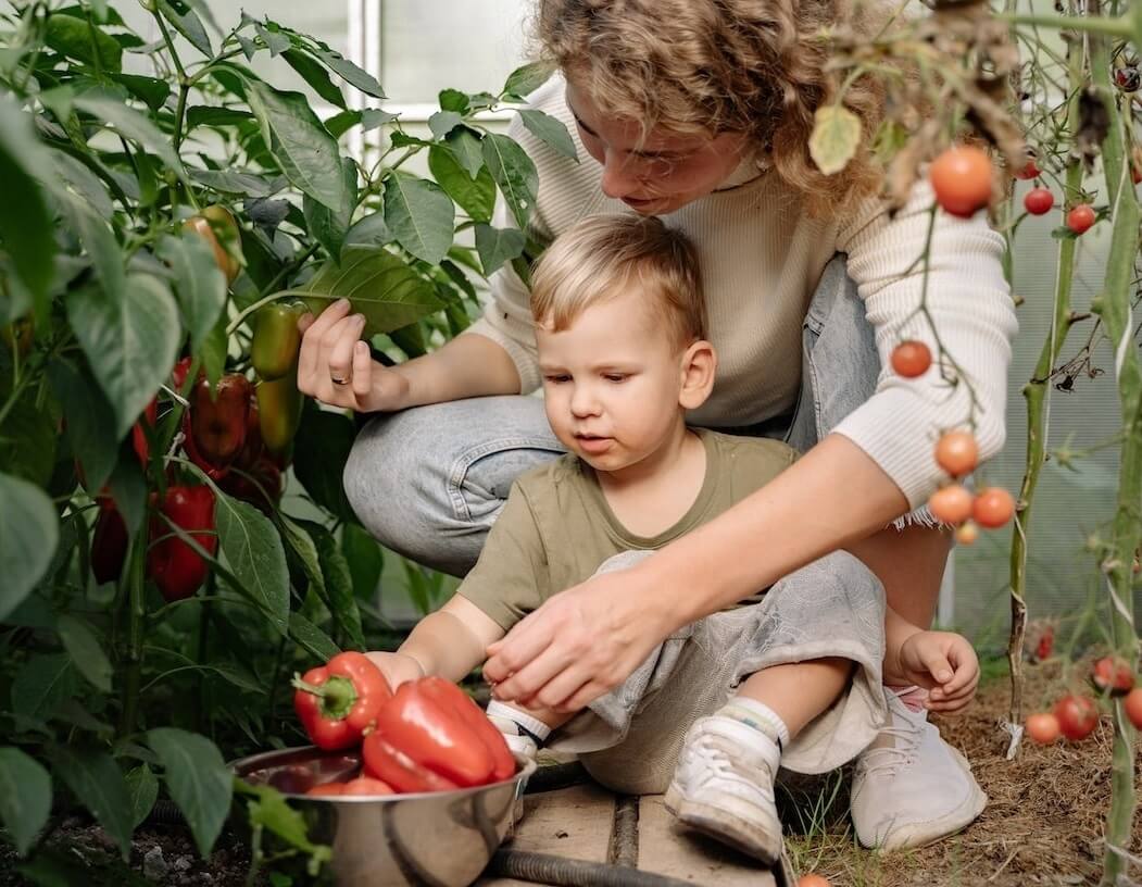 AdRocket Website Builder